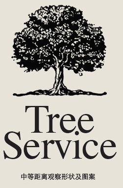 平面設(shè)計入門 如何為你的圖片選擇完美的英文字體搭配